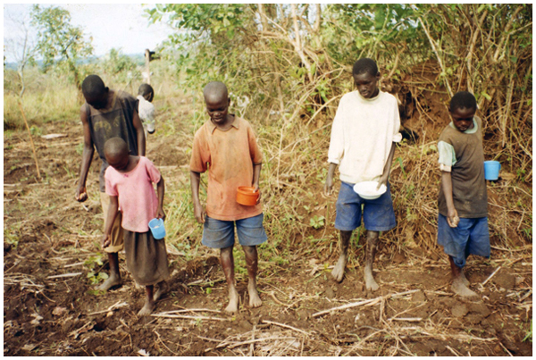 Children planting crops in Adwila, Uganda